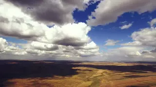 50 жылдан соң қазақ жері шөлге айналады - биолог