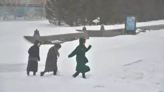 Какую погоду принесет в выходные  в Казахстан южный циклон