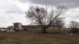 Самый маленький регион Казахстана за год покинули 14 тысяч человек