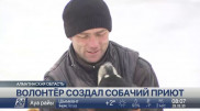 Житель Алматы создал приют для бездомных животных