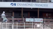 Почему казахстанцы с Diamond Princess летели общим бортом, объяснили в КГА
