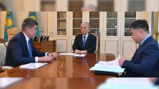 Токаеву доложили о мерах защиты от коронавируса