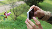 Пароли пользователей iPhone оказались под угрозой