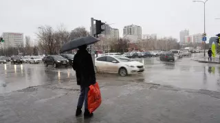 Астанчанам посоветовали держаться подальше от деревьев