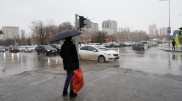 Астанчанам посоветовали держаться подальше от деревьев