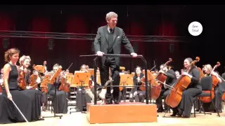 Бездомная кошка вышла на сцену с симфоническим оркестром и "украла шоу"