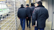 Задержание директора филиала "Estate Ломбард" сняли на видео в Шымкенте