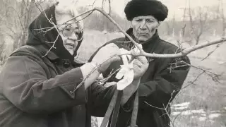 "Там, где покоится дед, завязывали белые ленточки". Историю одного фото рассказала внучка Ильяса Жансугурова