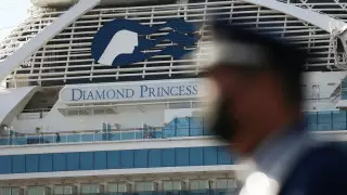 У трех россиян с Diamond Princess выявили коронавирус