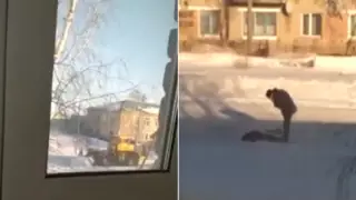 Трактор насмерть задавил девушку в Костанайской области