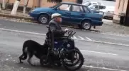Видео с дедушкой-инвалидом и заботливой собакой растрогало пользователей Казнета