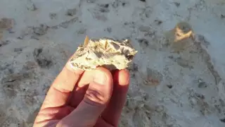 Житель Актау отказался продавать уникальную находку в британский музей