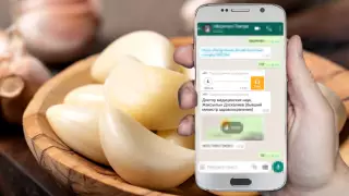 Чеснок от коронавируса. Министр ответил на рассылку в WhatsApp
