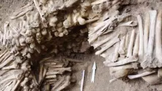 "Стену из костей" обнаружили под бельгийским собором