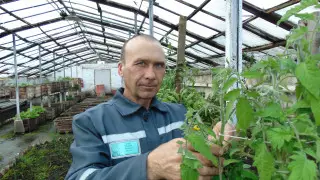 Заключенный вырастил цветы к 8 Марта в ВКО