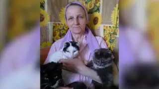 Больше 100 кошек поселила у себя жительница Карагандинской области