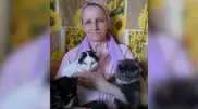 Больше 100 кошек поселила у себя жительница Карагандинской области