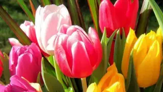 Президент поздравил казахстанских женщин с 8 Марта