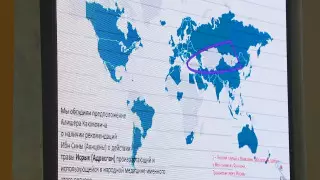 "Монгольский треугольник": эксперт высказался об отсутствии коронавируса в ЦА