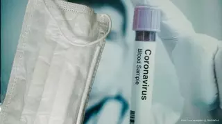 Россия начала испытывать вакцину против коронавируса