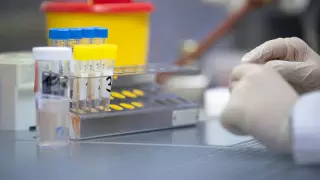 Коронавирусты анықтайтын тест Қазақстанға қашан келетіні белгілі болды