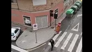 На пустынной улице в Испании задержали прохожего в костюме динозавра