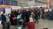207 казахстанцев привезли спецрейсом из Европы