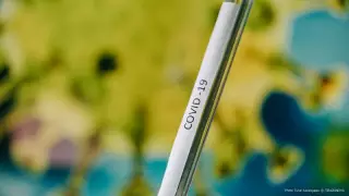 Больных коронавирусом нашли в СКО и Жамбылской области