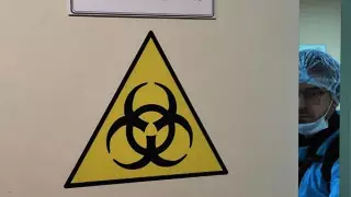 Двумя штаммами коронавируса заразился человек в Исландии