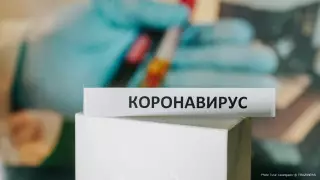 Коронавирус не затормозит глобальное потепление - эксперт