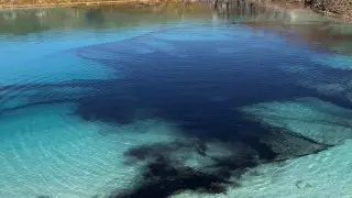 В Англии "Голубая лагуна" стала черной