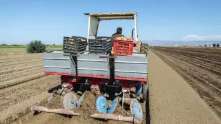 Токаев поручил помочь казахстанским фермерам