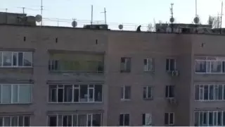 Отец с сыном в коляске гулял по крыше 9-этажки в Уральске