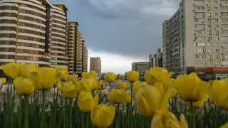 Шымкент закрывают на карантин