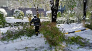 Снег выпал в Алматы, Шымкенте, Таразе, Душанбе и Ташкенте