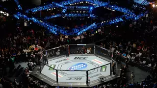 Турнир UFC 249 не состоится 18 апреля
