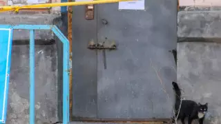 В Павлодаре к дверям двух многоэтажек приварили щеколды