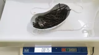 112 шурупов извлекли из желудка пациента врачи в Акмолинской области