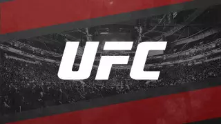 UFC хочет провести бой Фергюсон - Гейджи 9 мая - СМИ