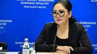 "Не время для разборок" - вице-министр о скандальном заявлении Молдагасимовой