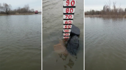 Затопленные трассы снимают на видео жители СКО