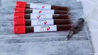 Количество случаев коронавируса возросло до 1735