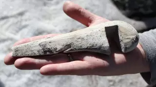 Древнее оружие нашли в ледниках Норвегии