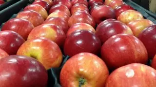 Карагандинец сохранял чеки и показал, как дорожали яблоки