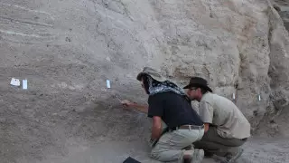 "Выходцы из прикаспийских степей". Генетики выяснили происхождение европейцев