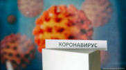Названы основные мишени коронавируса в организме человека