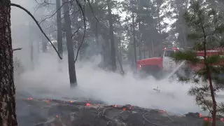 Третьи сутки не могут потушить лесной пожар в ВКО