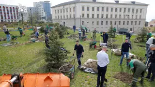 Коронавирус в Беларуси установил новый антирекорд