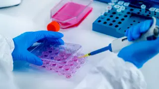 Еще 44 человека заразились коронавирусом, 28 из них - в Алматы