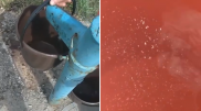 На "воду с червями" пожаловалась жительница Костаная